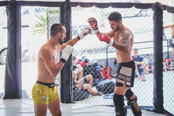 Boxe vs MMA : comprendre la différence
